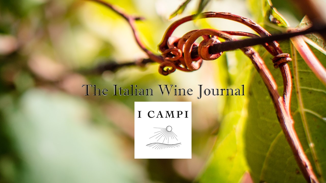 The Italian Wine Journal – I Campi di Flavio Prà equilibrio e vertigine